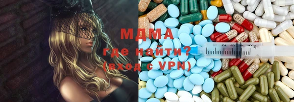 индика Богородицк